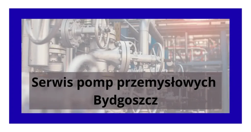Serwis pomp przemysłowych Bydgoszcz